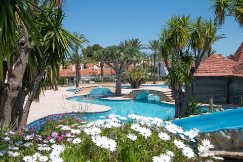 Anuncio de Airbnb popular: Among the palm trees in Denia en Dénia