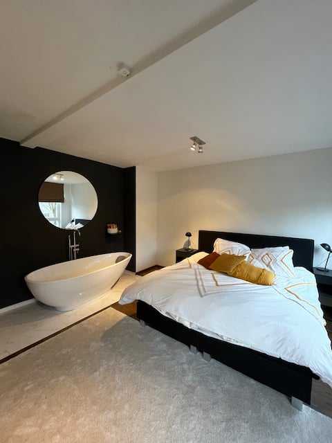 Spacious luxury apartment city center