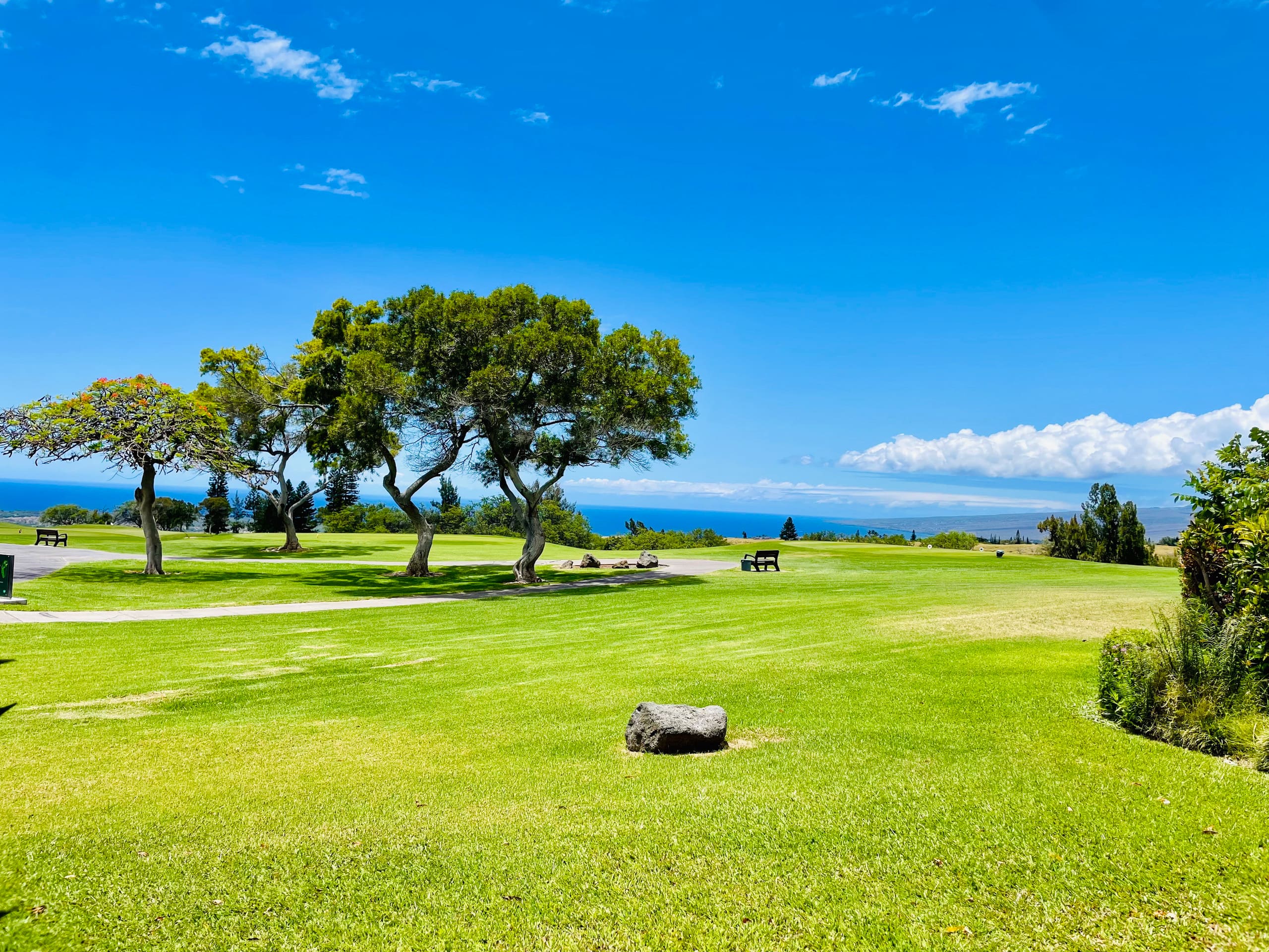 Honua Studio Ocean Views on the Golf Course - Photo 21