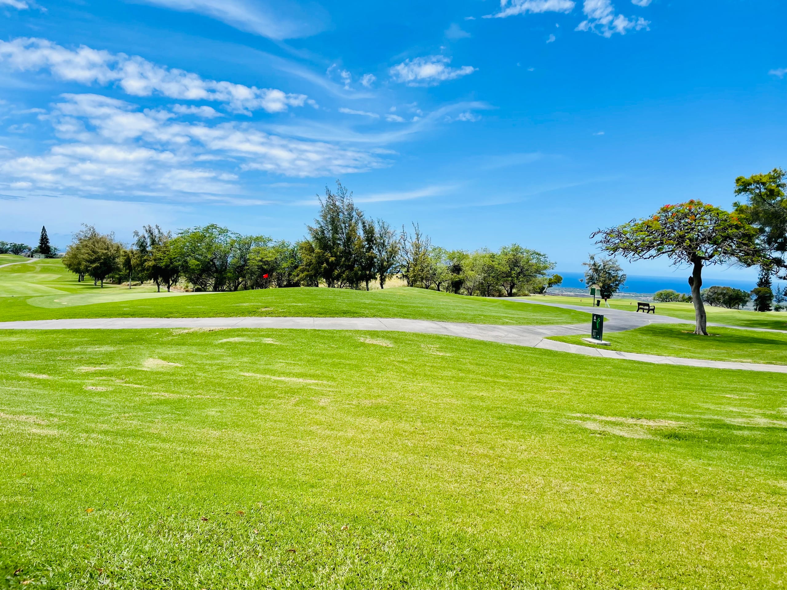 Honua Studio Ocean Views on the Golf Course - Photo 22