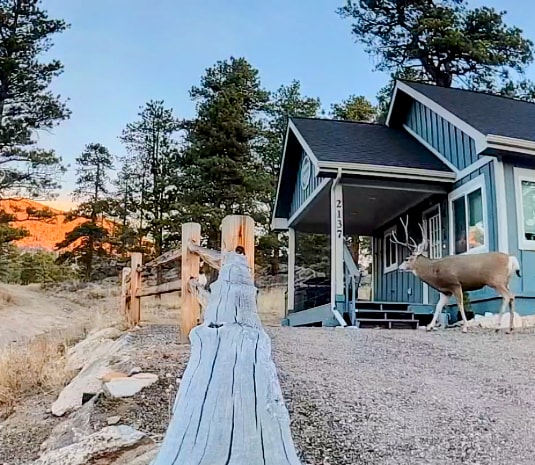 The exterior of a blue cottage is shown, set against a backdrop of trees and mountains. A deer is seen walking near the entrance, highlighting the property's connection to local wildlife. A weathered wooden path leads toward the cottage steps, surrounded by natural landscape.