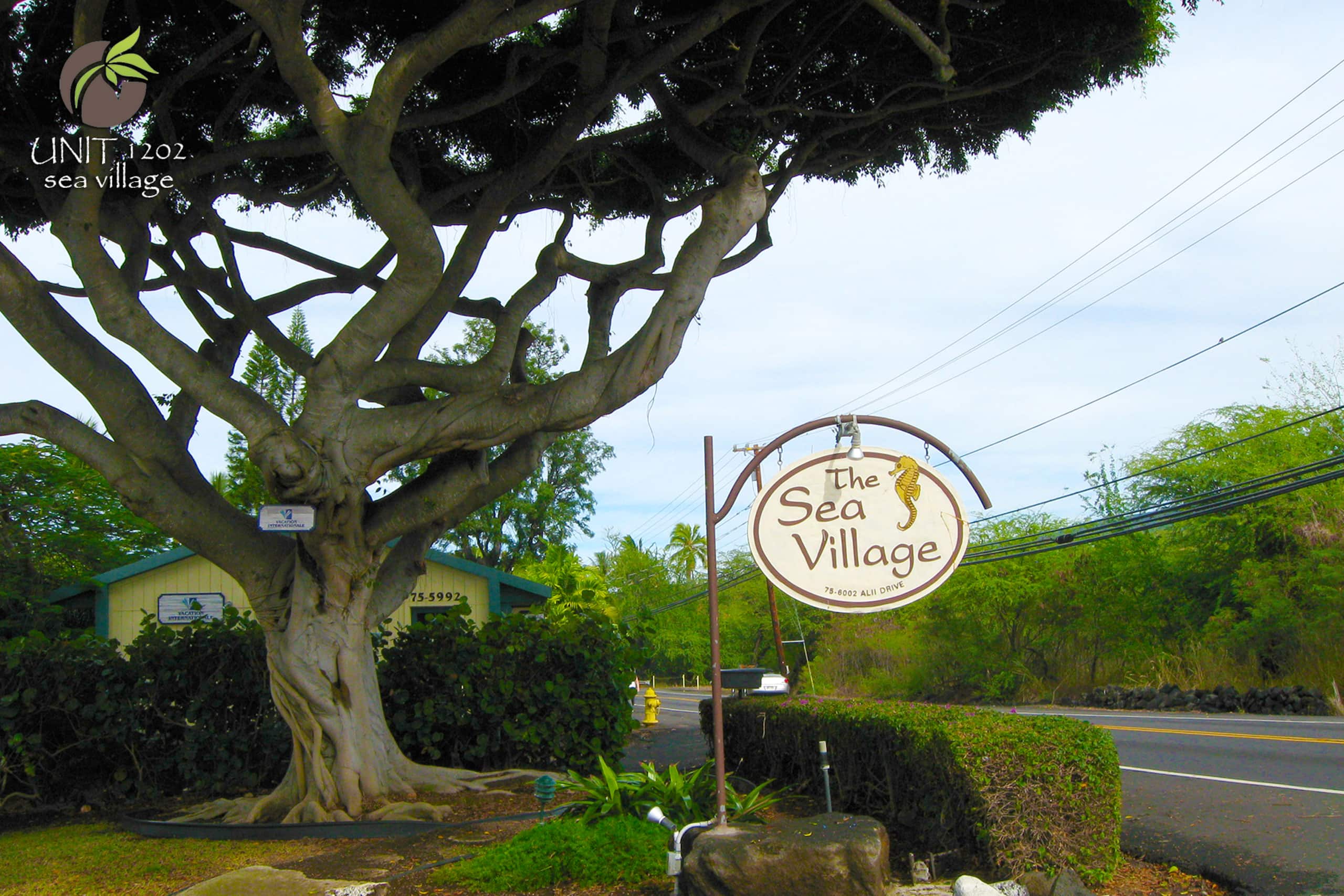 Direct oceanfront condo with AC @ Sea Village - Image 29
