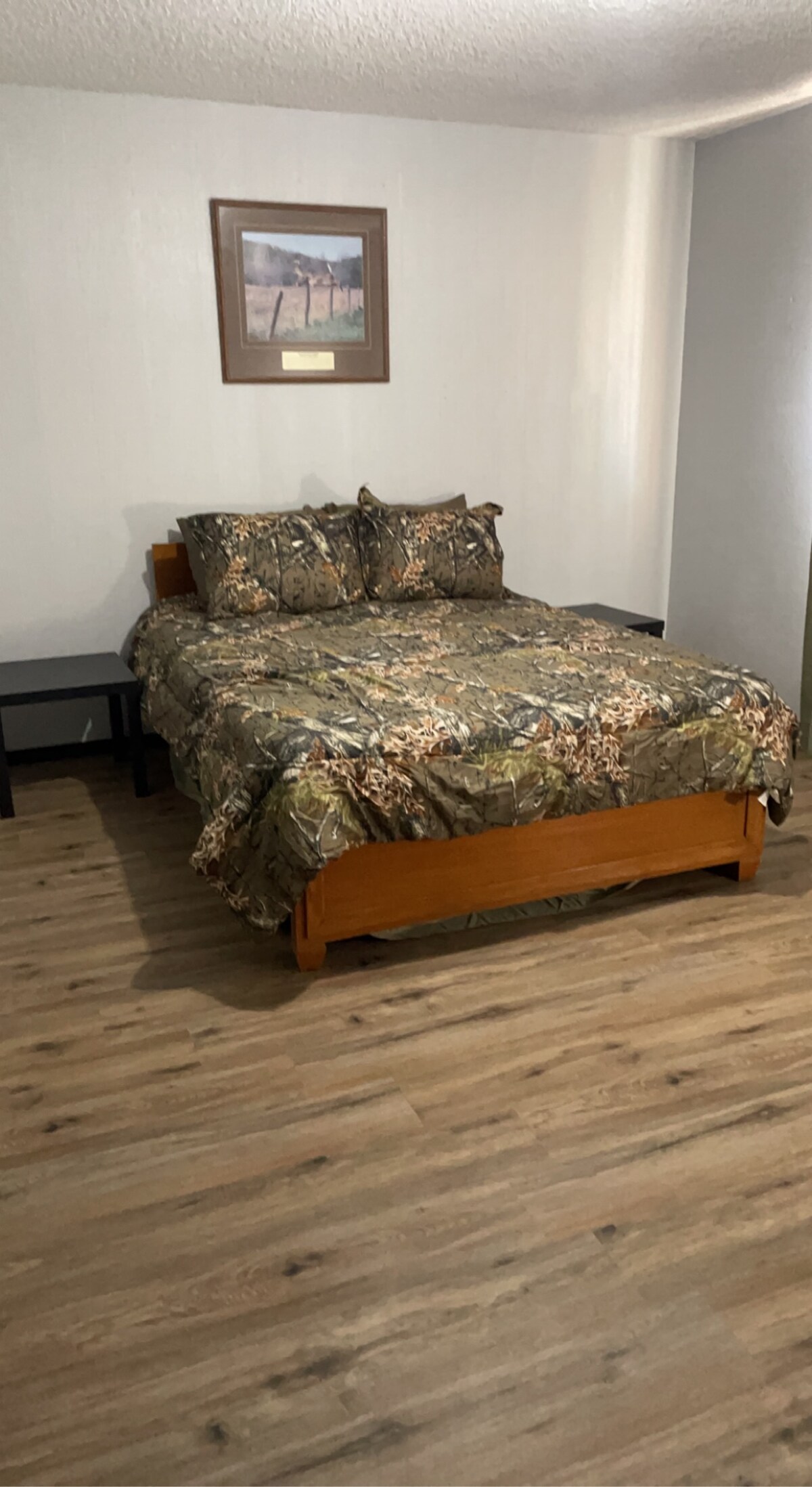 Larger south bedroom with a queen bed and a big walk in closet. 