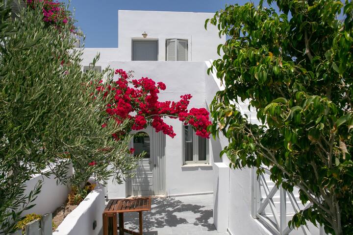 Sensia Sundrop gallery image 5