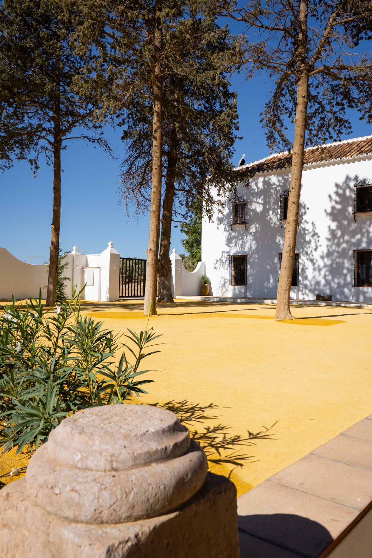 Cortijo El Solano - Casas en alquiler en Antequera, Andalucía, España -  Airbnb