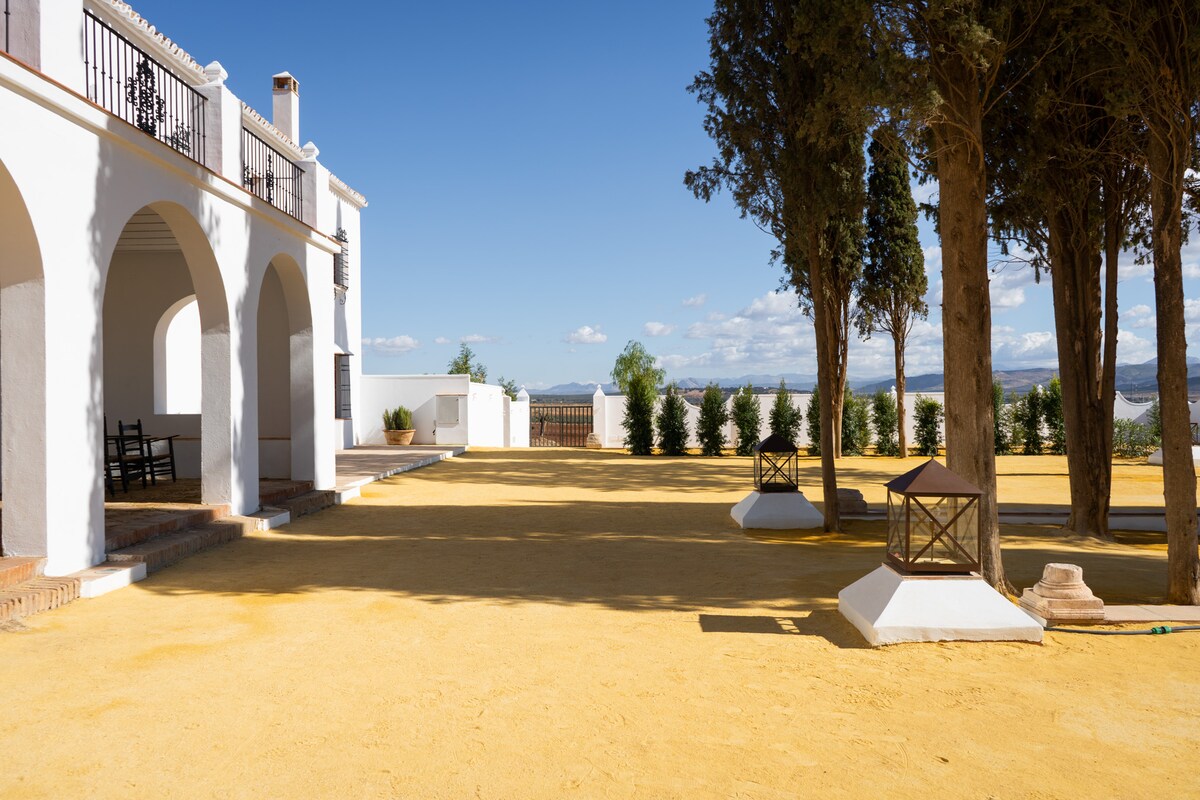 Cortijo El Solano - Casas en alquiler en Antequera, Andalucía, España -  Airbnb