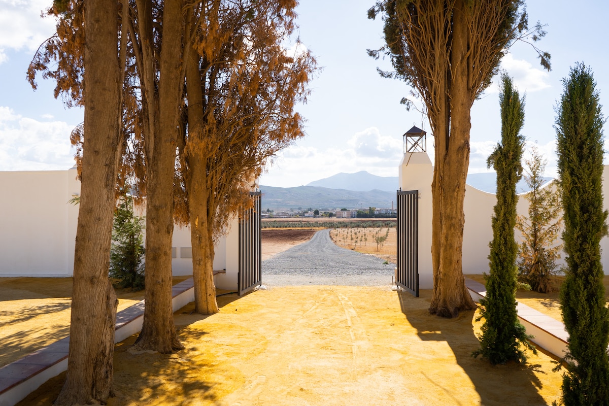 Cortijo El Solano - Casas en alquiler en Antequera, Andalucía, España -  Airbnb
