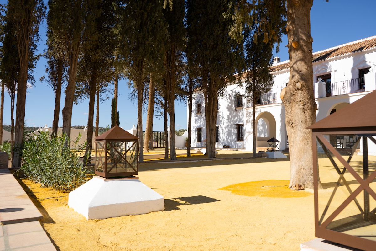 Cortijo El Solano - Casas en alquiler en Antequera, Andalucía, España -  Airbnb
