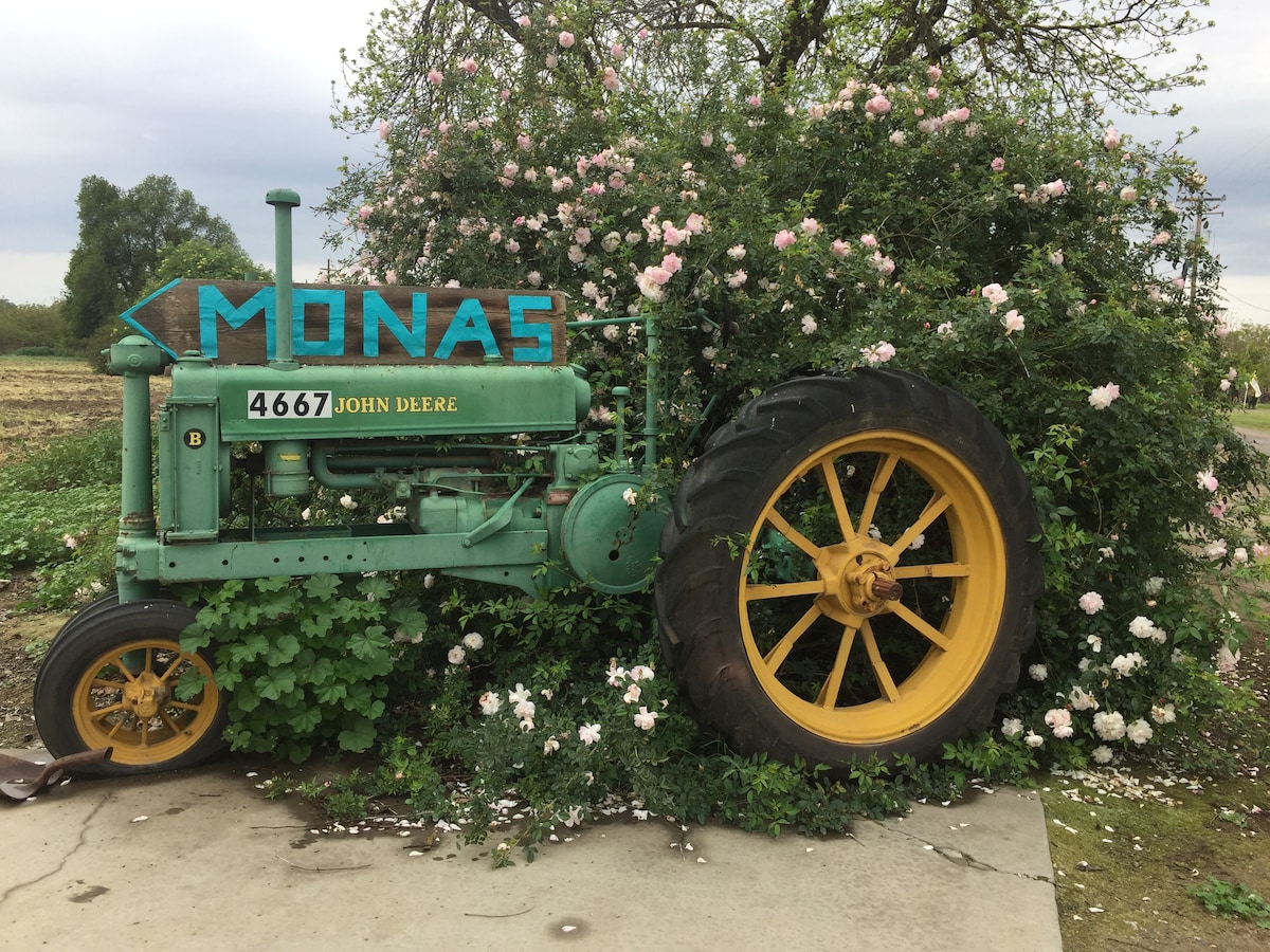 An antique green tractor is nestled beside a blooming bush, with soft pink flowers contrasting against the vibrant foliage. The tractor features a prominent yellow wheel and a sign displaying the name 'MONAS,' enhancing the rustic charm of the surrounding area.
