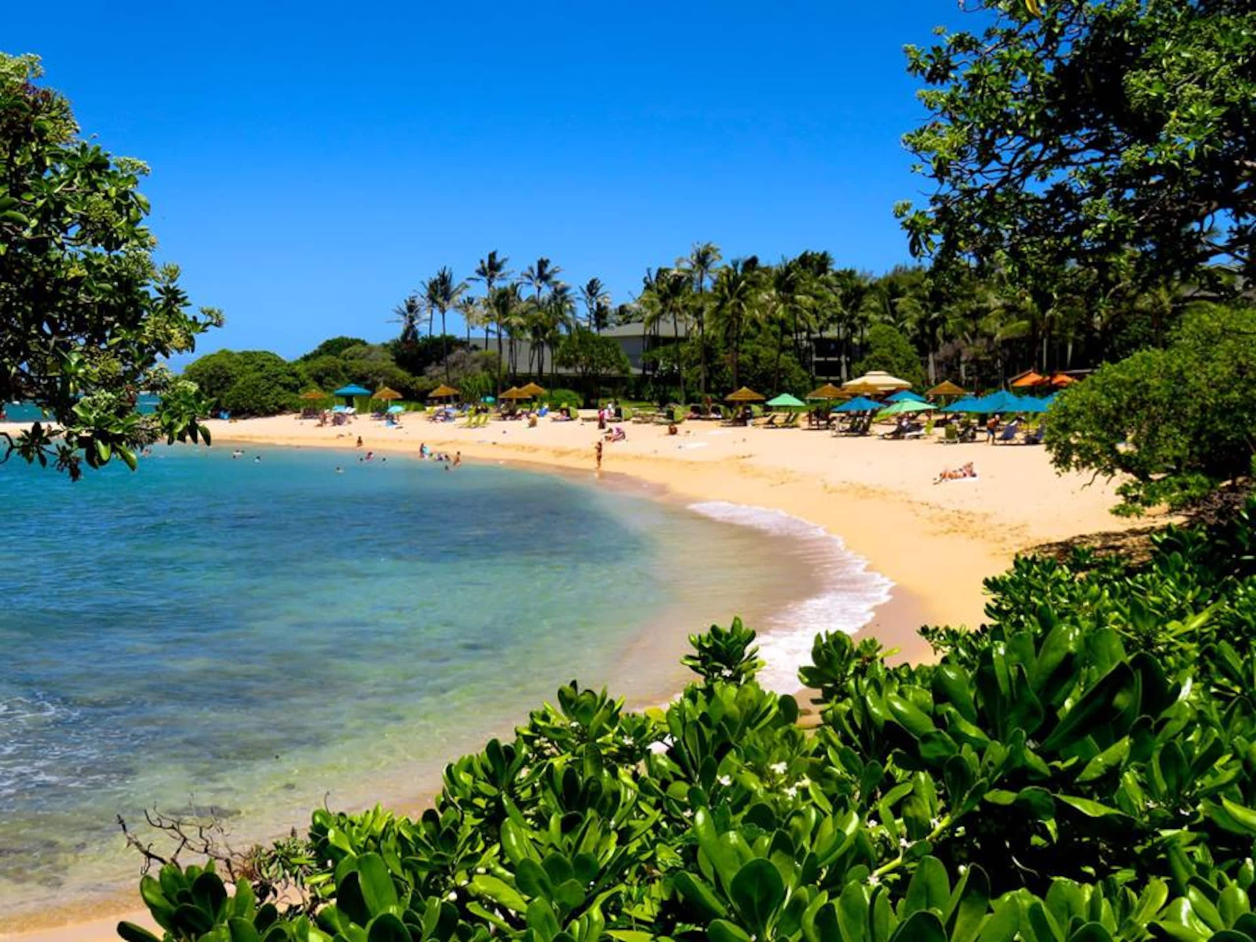 Home in Kahuku · ★4.93 · 2 bedrooms · 3 beds · 2 shared baths - Image 13