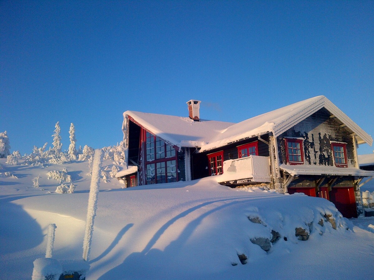 A snow-covered lodge with a sloped roof is depicted against a clear blue sky. The structure features prominent wooden details and large windows, blending charmingly with the surrounding winter landscape. Snow adorns the ground and branches of nearby trees, creating a serene scene.