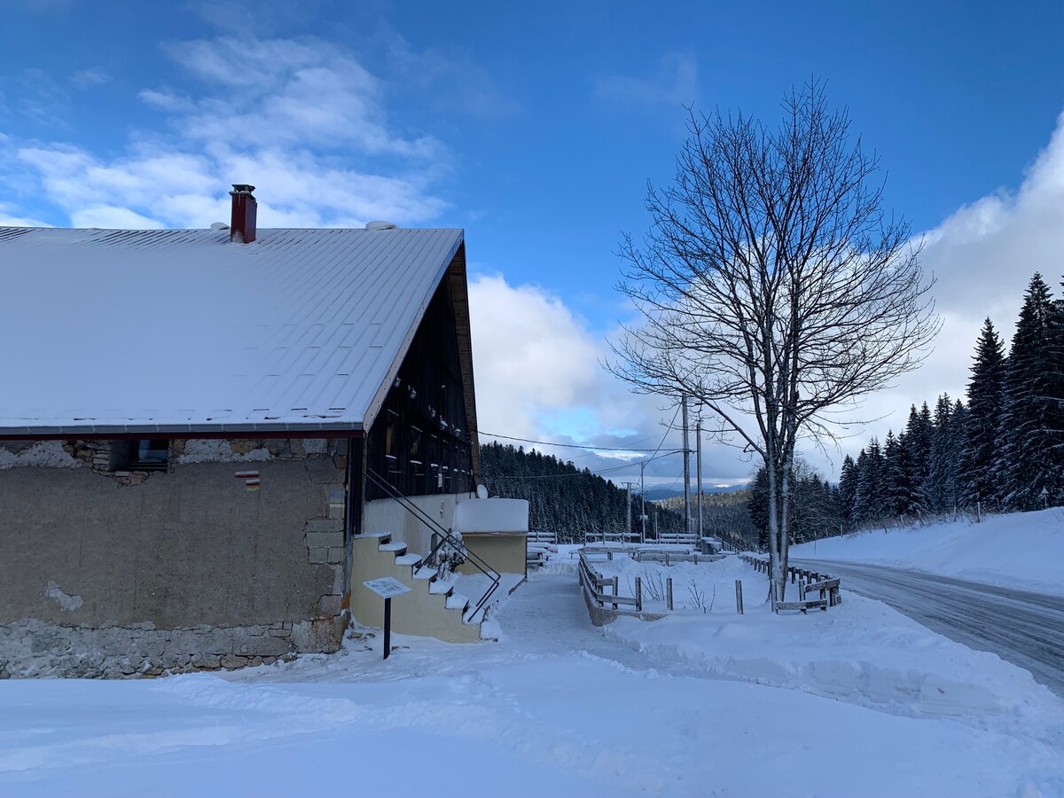 A winter scene showcases a snow-covered landscape surrounding a rustic building with a sloped roof. A bare tree stands nearby, and the ground is blanketed in fresh snow. The road is visible in the foreground, leading into the wooded area in the background.