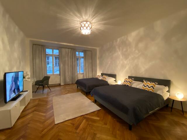 Spacious Apartment on Wenceslas Square