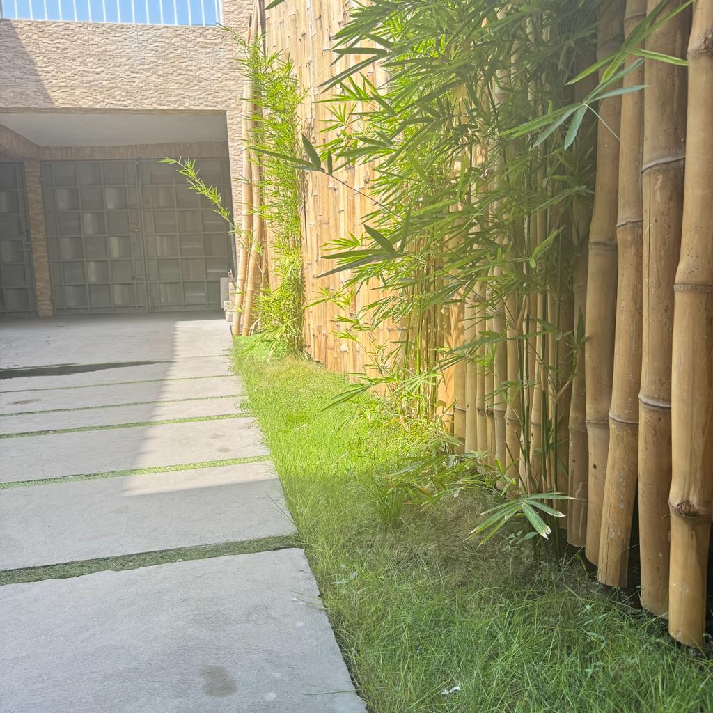A landscaped pathway is bordered by bamboo fencing and fresh green grass. The stone walkway leads toward a building entrance, with sunlight illuminating the natural elements along the path.