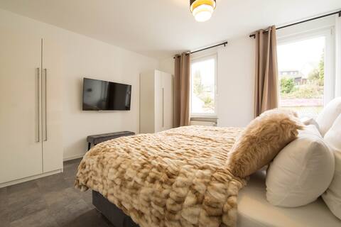 Luxury Saarbrücken 4