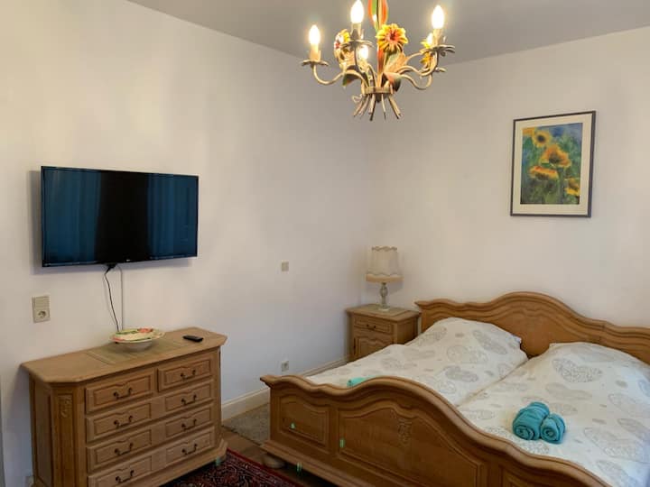 Comfortable Business Apartment R4 - Bonn