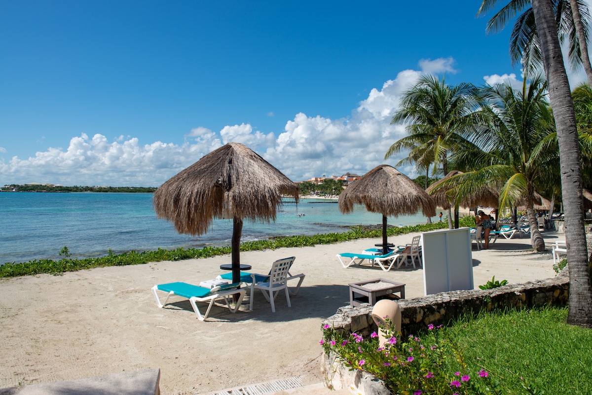 A sandy beach is lined with straw umbrellas providing shade over lounge chairs. The calm blue water reflects the sky, while palm trees dot the landscape, enhancing the serene coastal environment. The area offers a peaceful setting for relaxation by the sea.