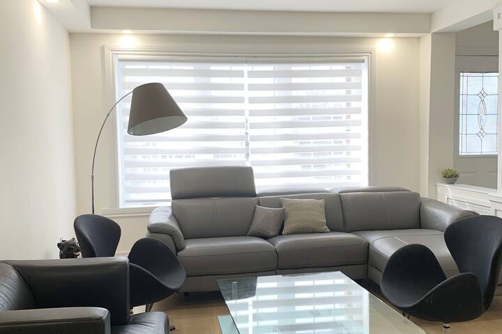 Two Storey House Elegant Design Heart of Toronto. gallery image 5