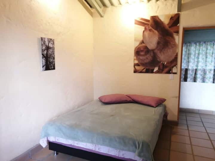 Habitación 2