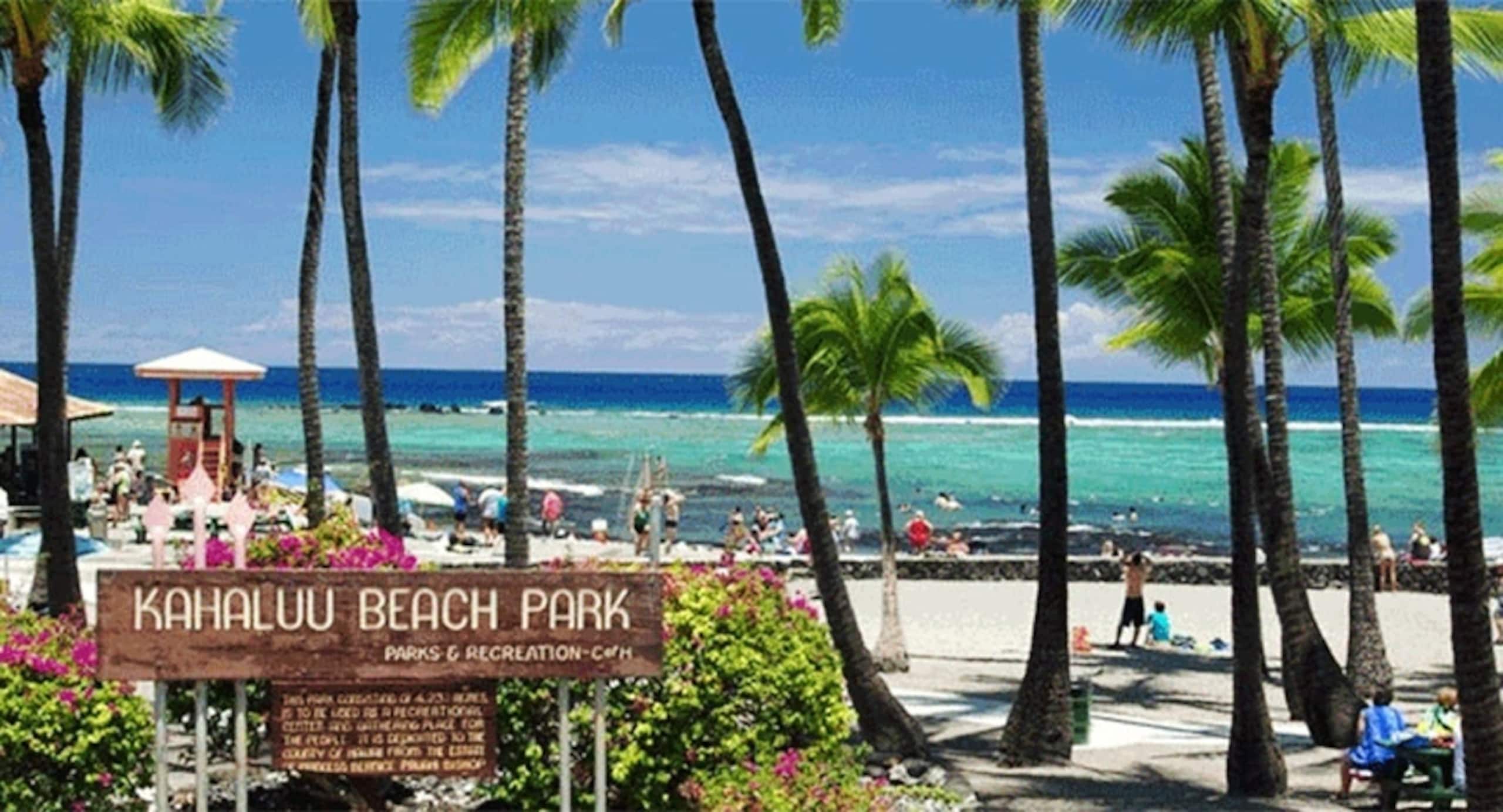 Home in Kailua-Kona · ★4.93 · 5 bedrooms · 7 beds · 4 private baths - Image 46