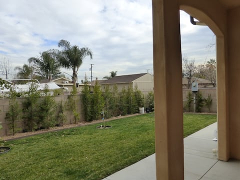 New Cozy Mt View House #2