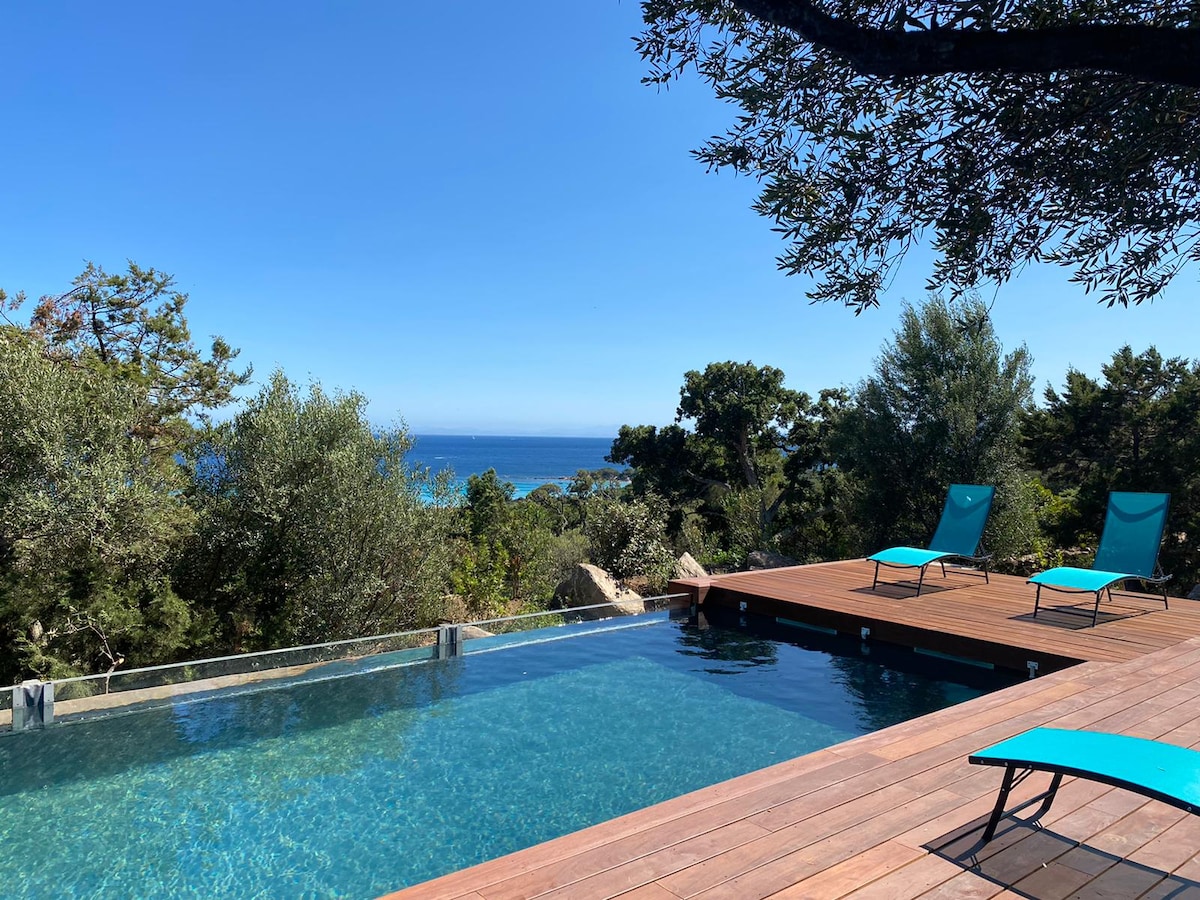 An outdoor pool is featured, framed by wooden decking and surrounded by lush vegetation. Two lounge chairs in bright turquoise are positioned for relaxation. A clear view of the ocean can be seen in the background, under a bright blue sky.