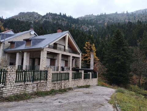 The villa by the woods