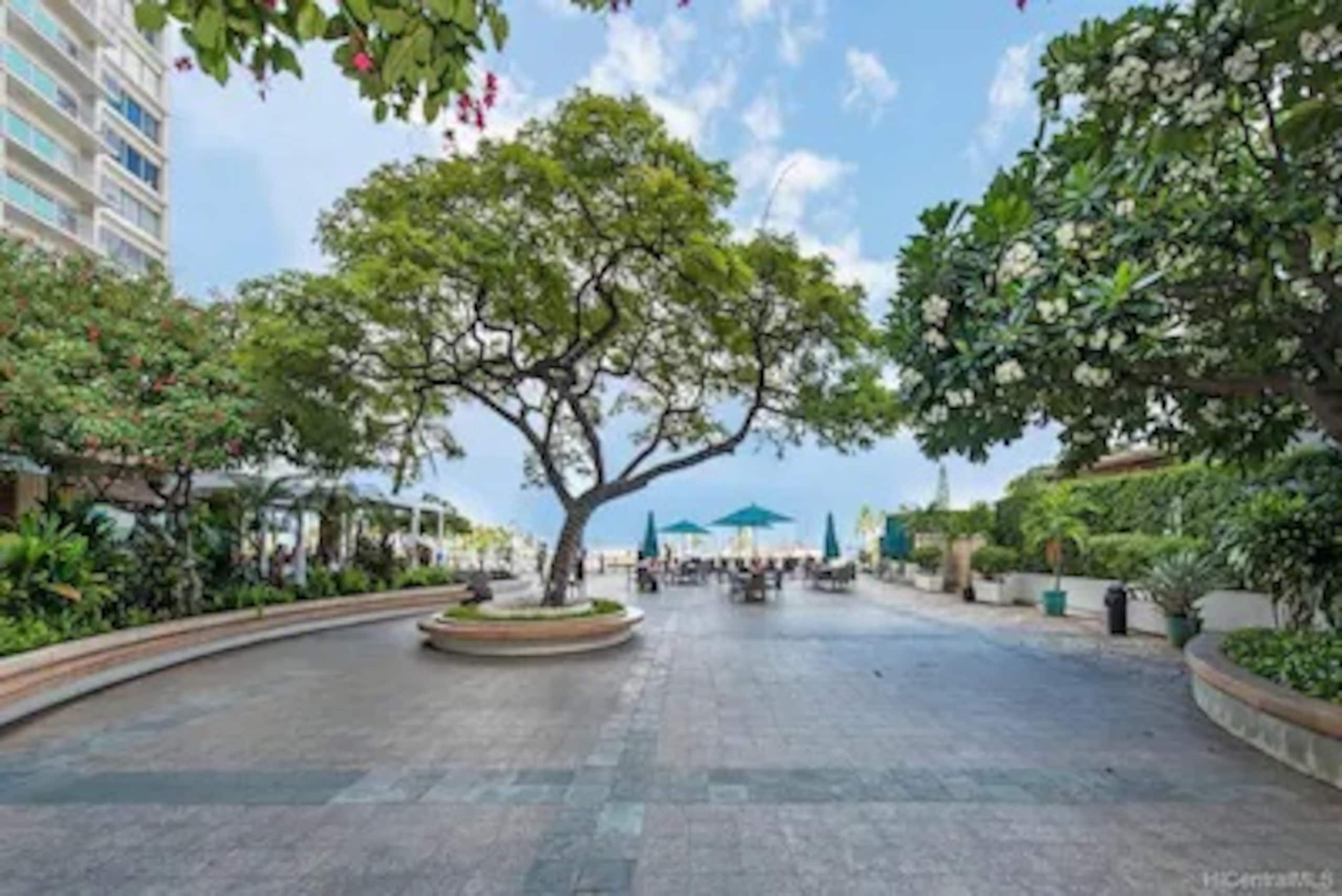 Condo in Honolulu · ★4.78 · Studio · 3 beds · 1 bath - Image 25