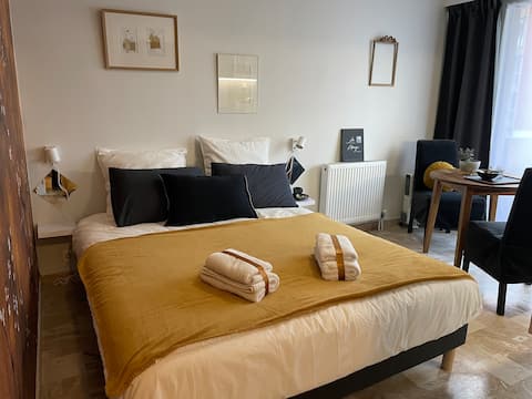 Fully renovated studio in the heart of Vieil Annecy.