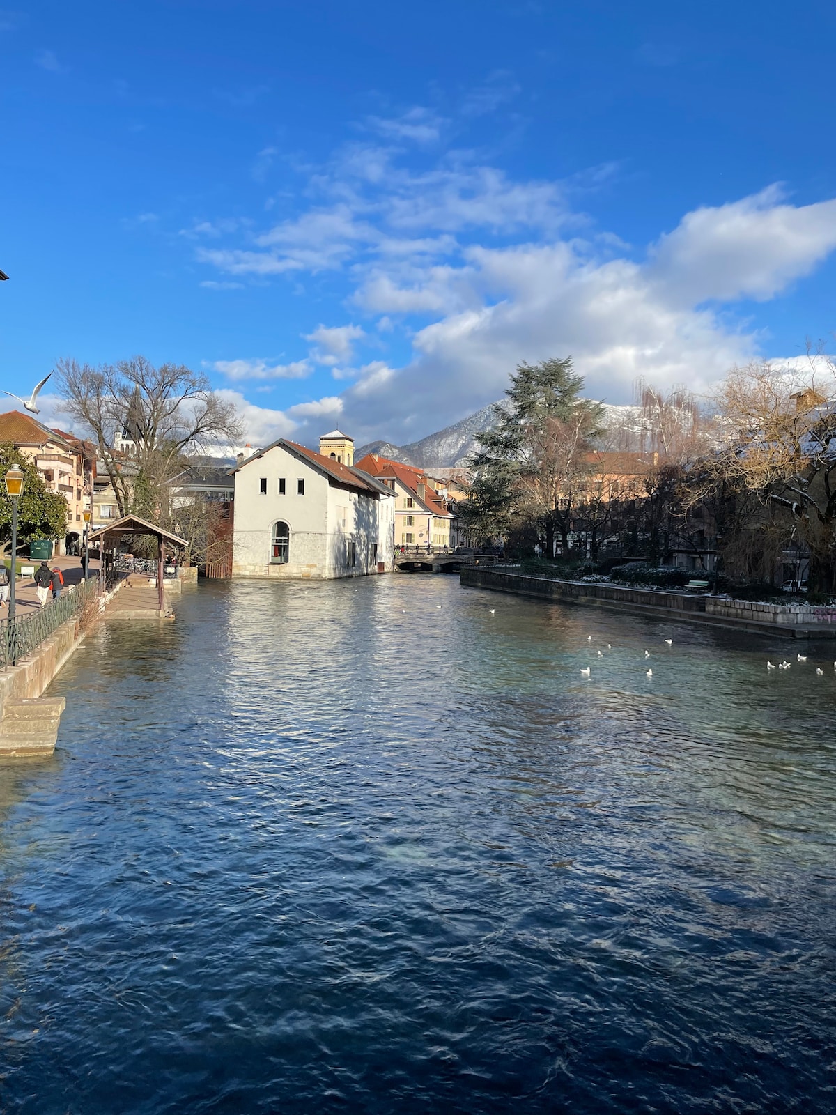 A scenic view of a canal is presented, featuring a historic building alongside the water. Soft clouds drift across a clear blue sky, while trees line the banks, adding greenery to the environment. Ducks can be seen gliding on the water's surface.