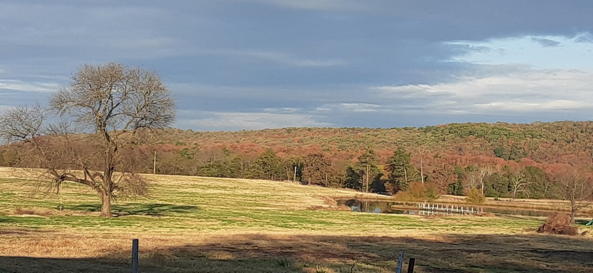 A scenic landscape showcases rolling hills adorned with greenery and hints of autumn colors. A pond is visible in the background, framed by trees, with open grassy fields in the foreground that invite relaxation and tranquility.