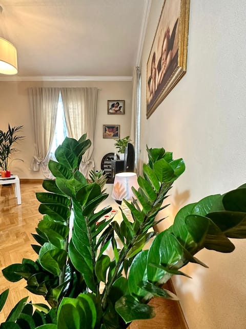 Top Airbnb: Lovely Lucca [free parking] a Lucca
