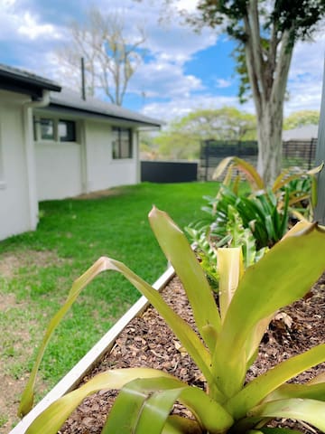 Your family house in Kenmore Brisbane QLD gallery image 3