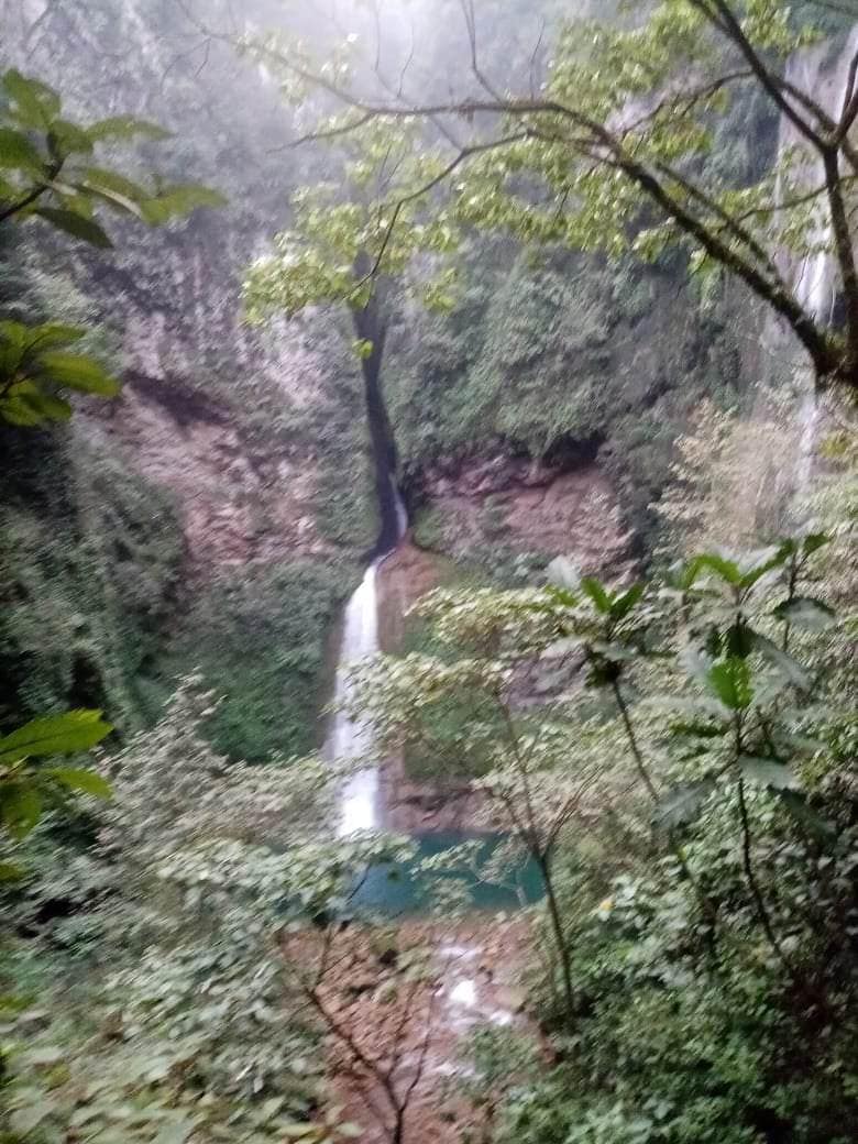 Lush greenery surrounds two cascading waterfalls, flowing into a serene turquoise pool below. The scene is set within a misty forest, with a variety of foliage framing the image, adding depth and a rich texture to the natural landscape.