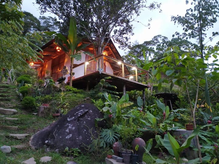 Cabaña Nativa: Belleza Inspirada En Las Abejas. - San Carlos, Colombia