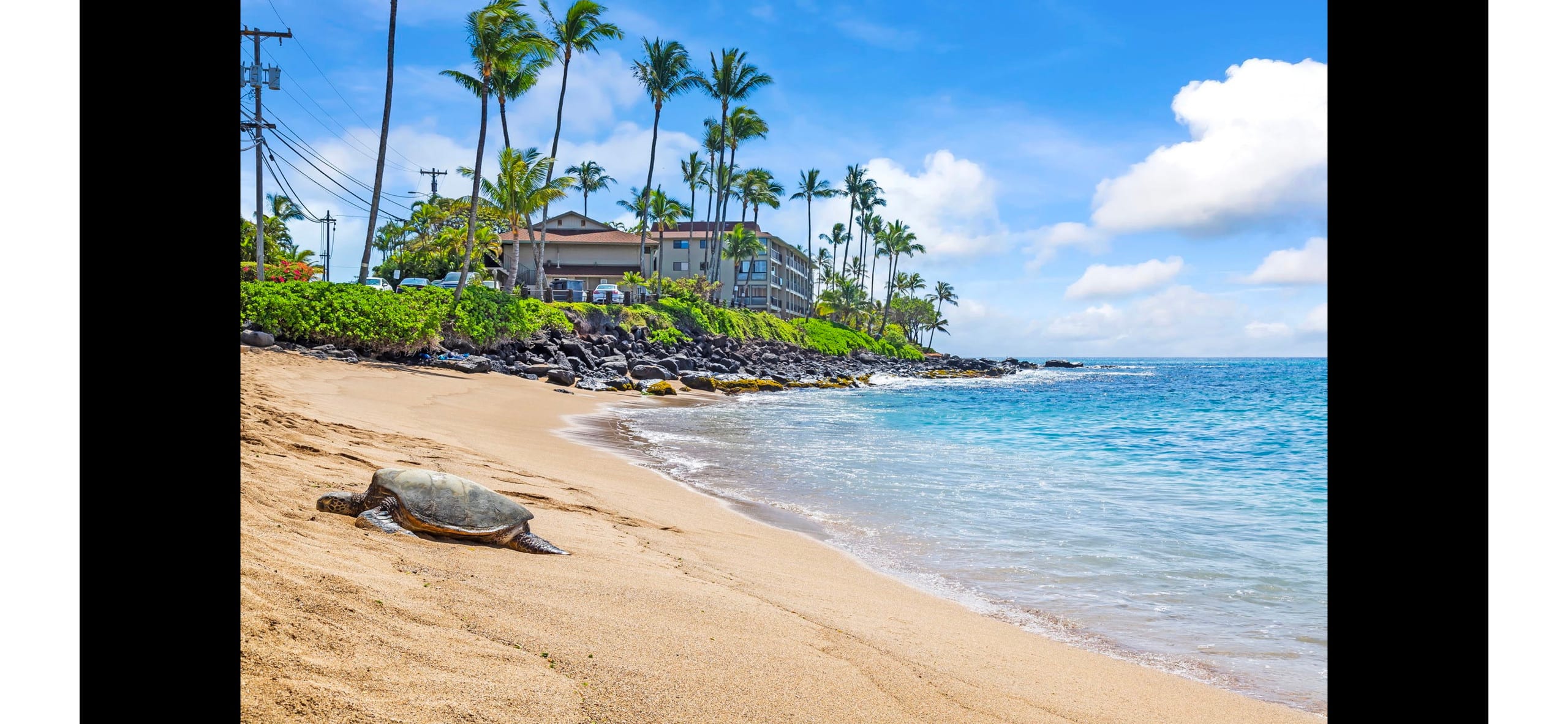 Condo in Lahaina · ★4.61 · 2 bedrooms · 3 beds · 2 baths - Image 51