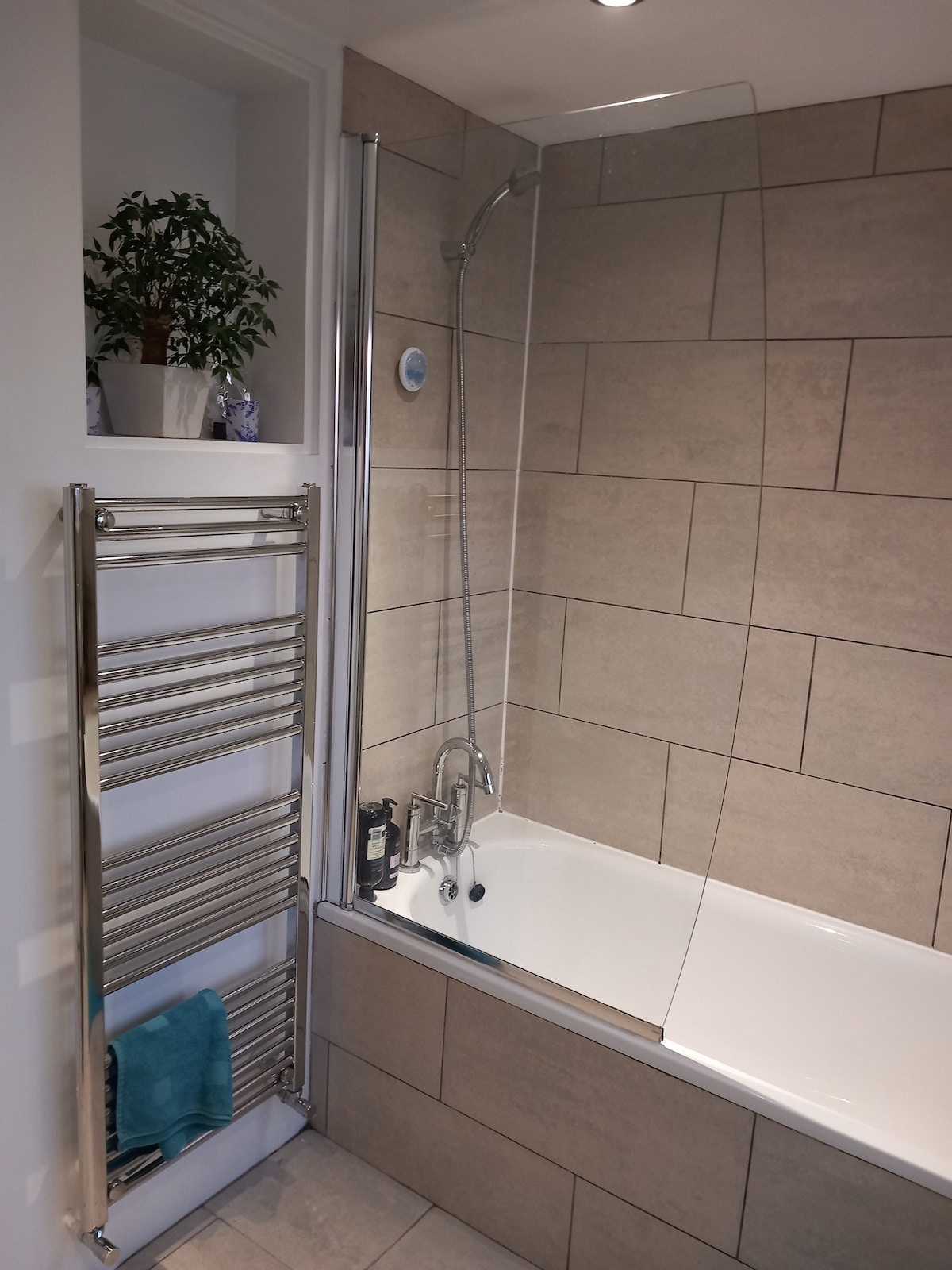 A modern bathroom features a sleek bathtub equipped with a glass shower screen. Neutral-toned tiles line the walls, enhanced by a chrome towel radiator beside the tub. A potted plant is placed on a shelf, adding a touch of greenery to the space.