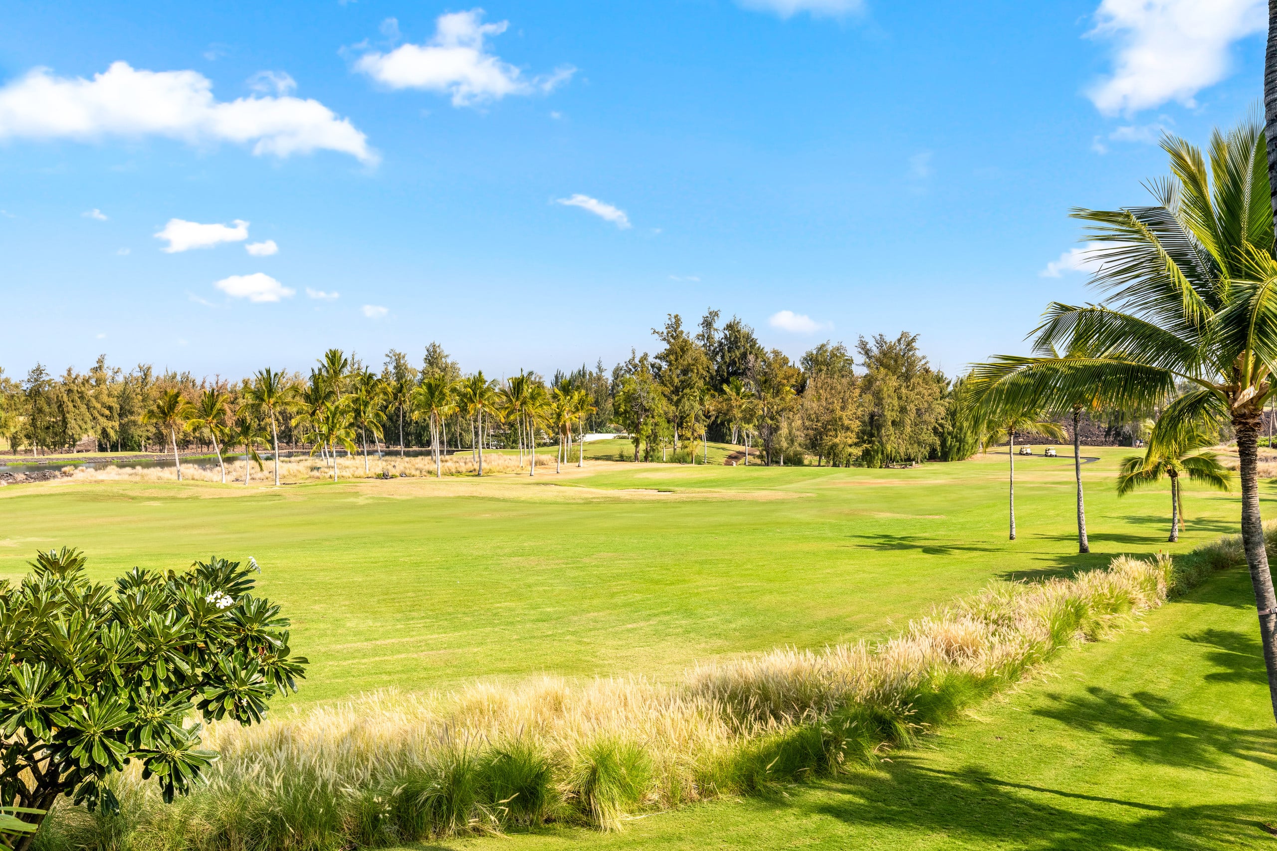 Waikoloa Beach Villas Unit J23 Golf View 2BD/2BA - Photo 23