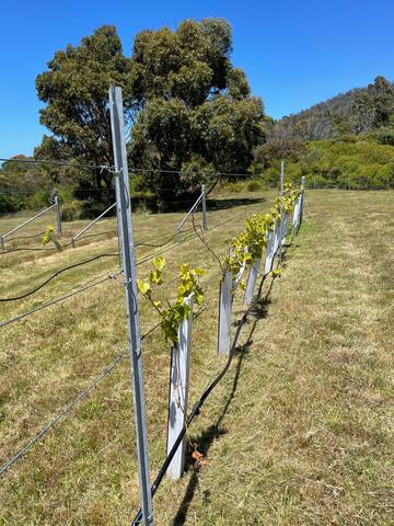Seal Cove, East Coast Tasmania gallery image 3