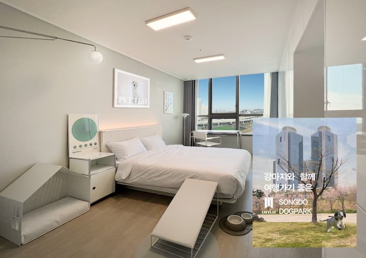 [UH FLAT_Songdo]Pet Flat Studio1 [2인+애완동물] Apartments for Rent in