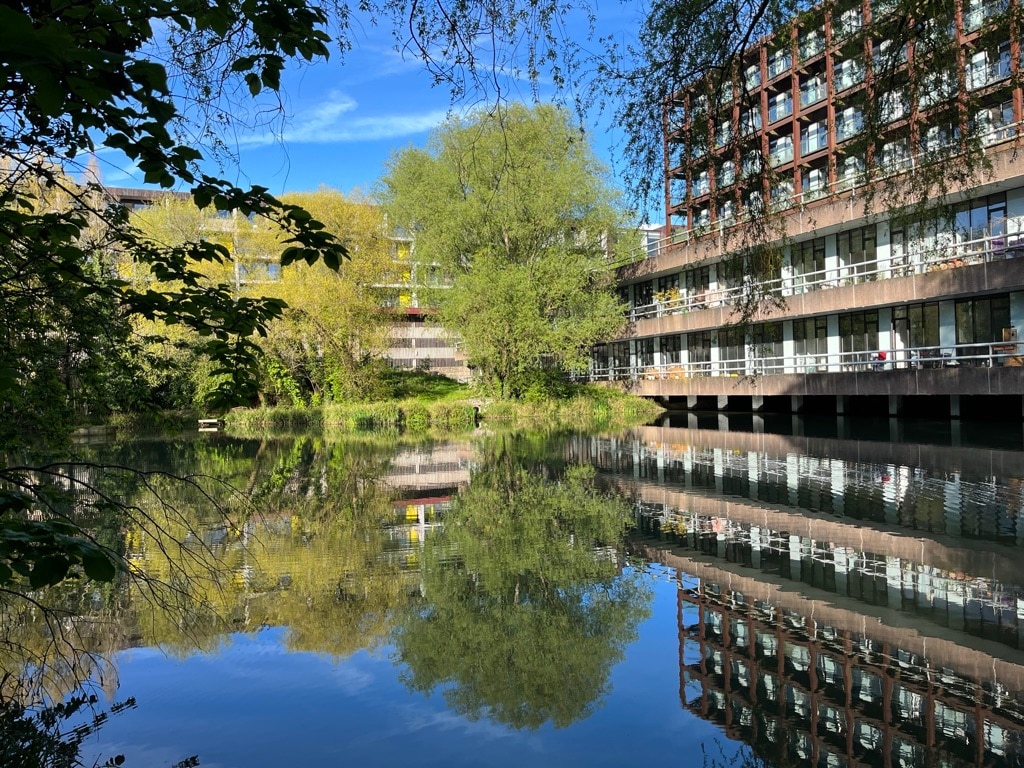 The image captures a reflective view of a modern building alongside tranquil waters, with lush greenery surrounding the area. The calm surface of the water mirrors the architectural lines and trees, creating a serene connection between nature and enhanced living spaces.