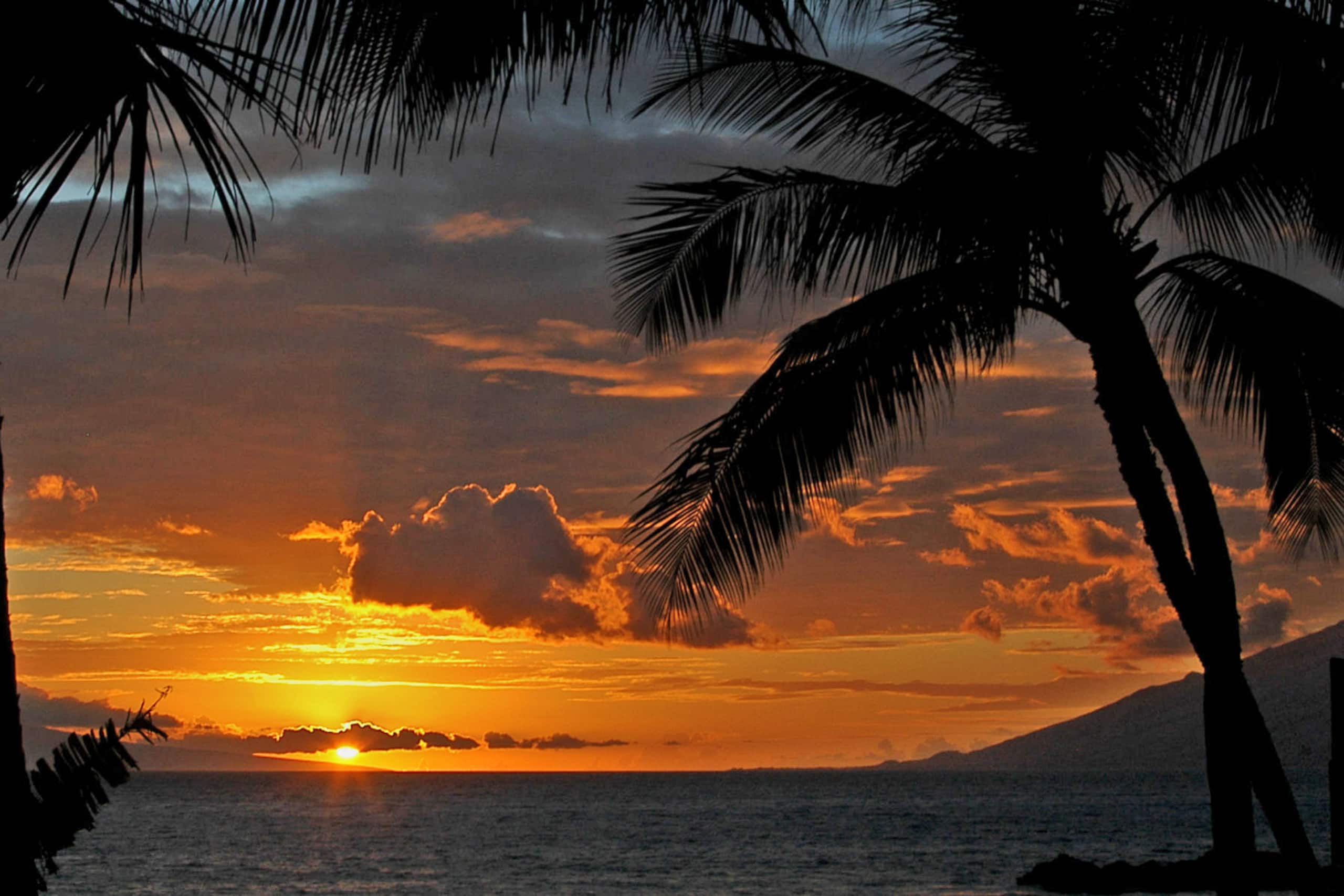 Condo in Kihei · ★4.71 · 1 bedroom · 2 beds · 1 private bath - Image 20
