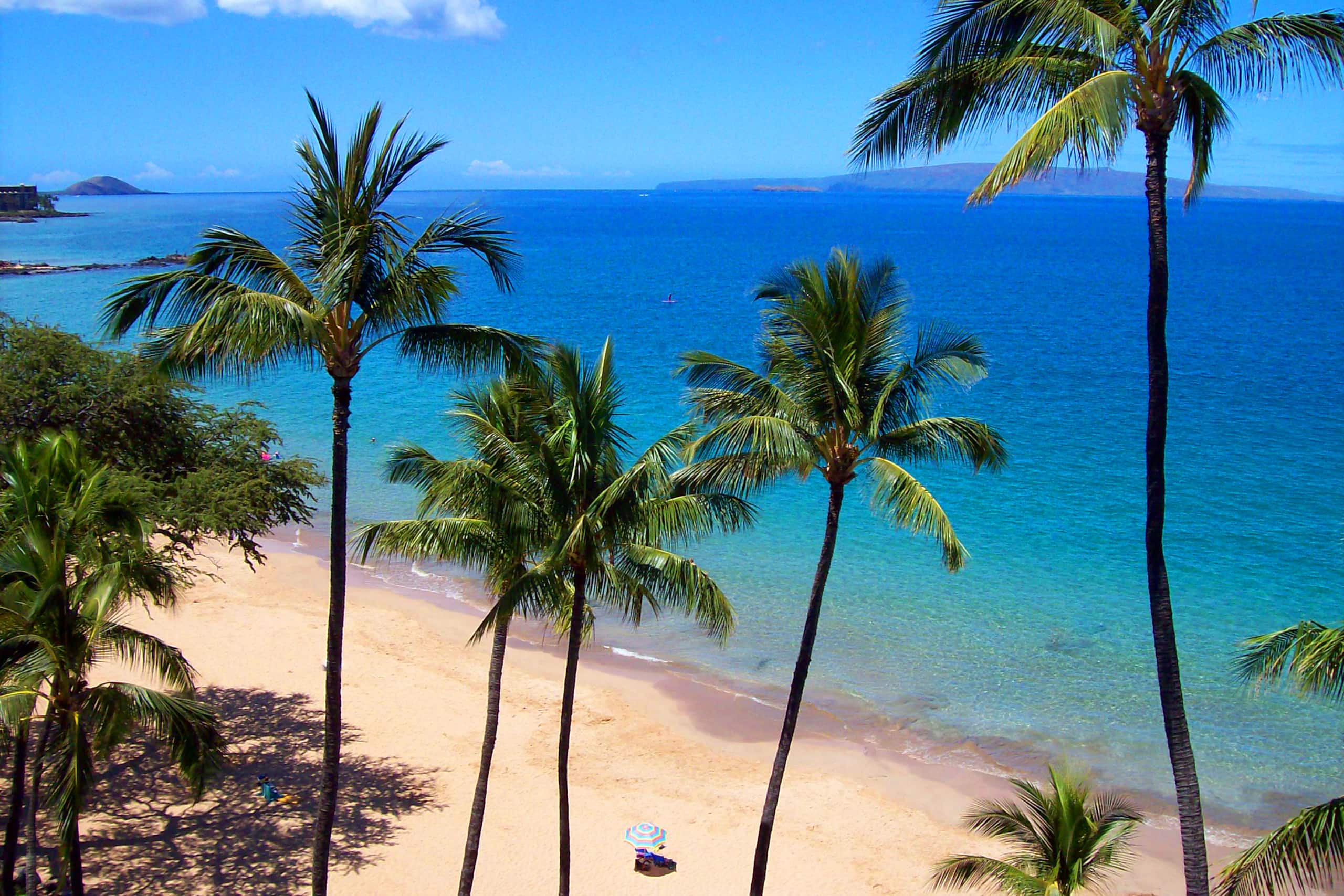 Condo in Kihei · ★4.71 · 1 bedroom · 2 beds · 1 private bath - Image 23