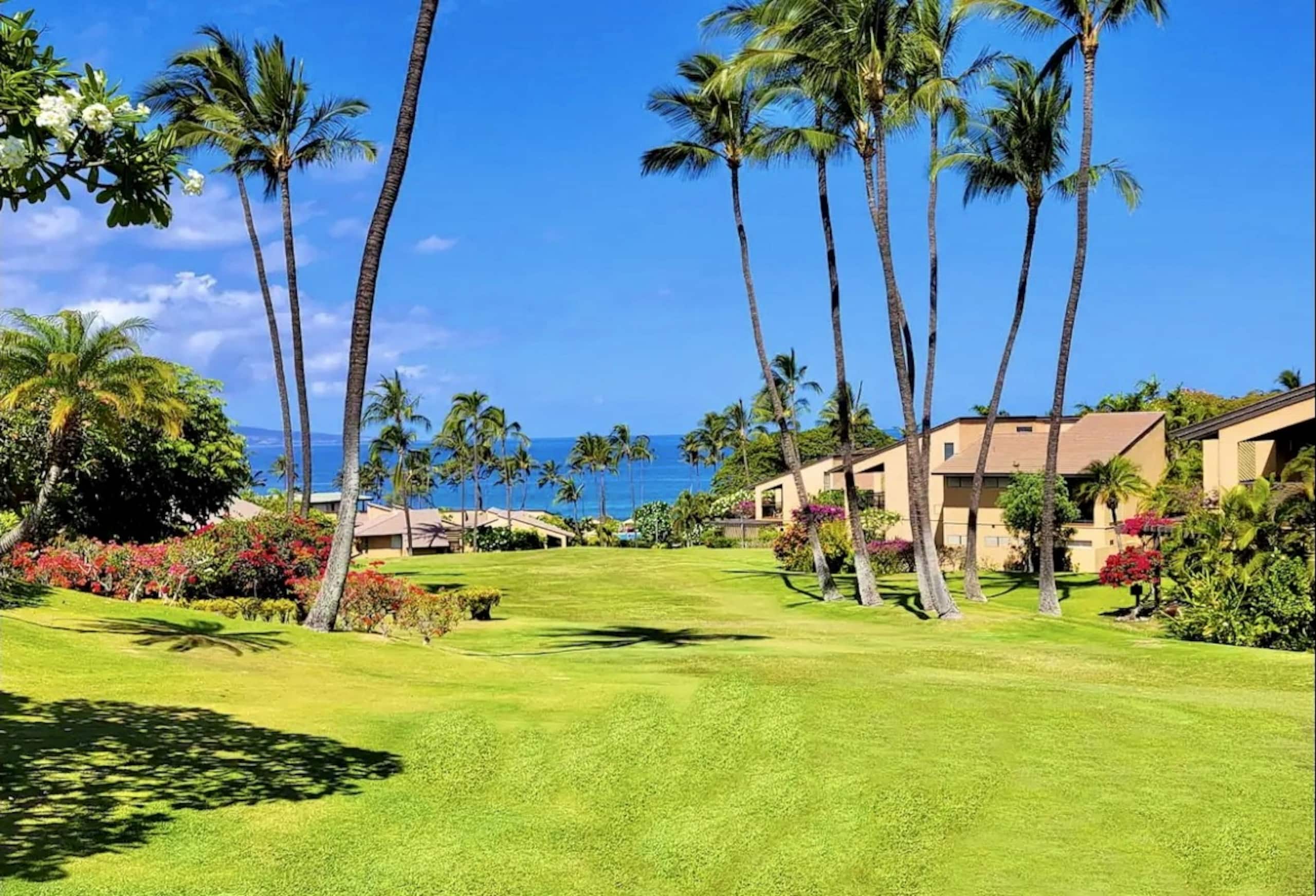 Condo in Kihei · ★5.0 · 1 bedroom · 2 beds · 1 bath - Image 70