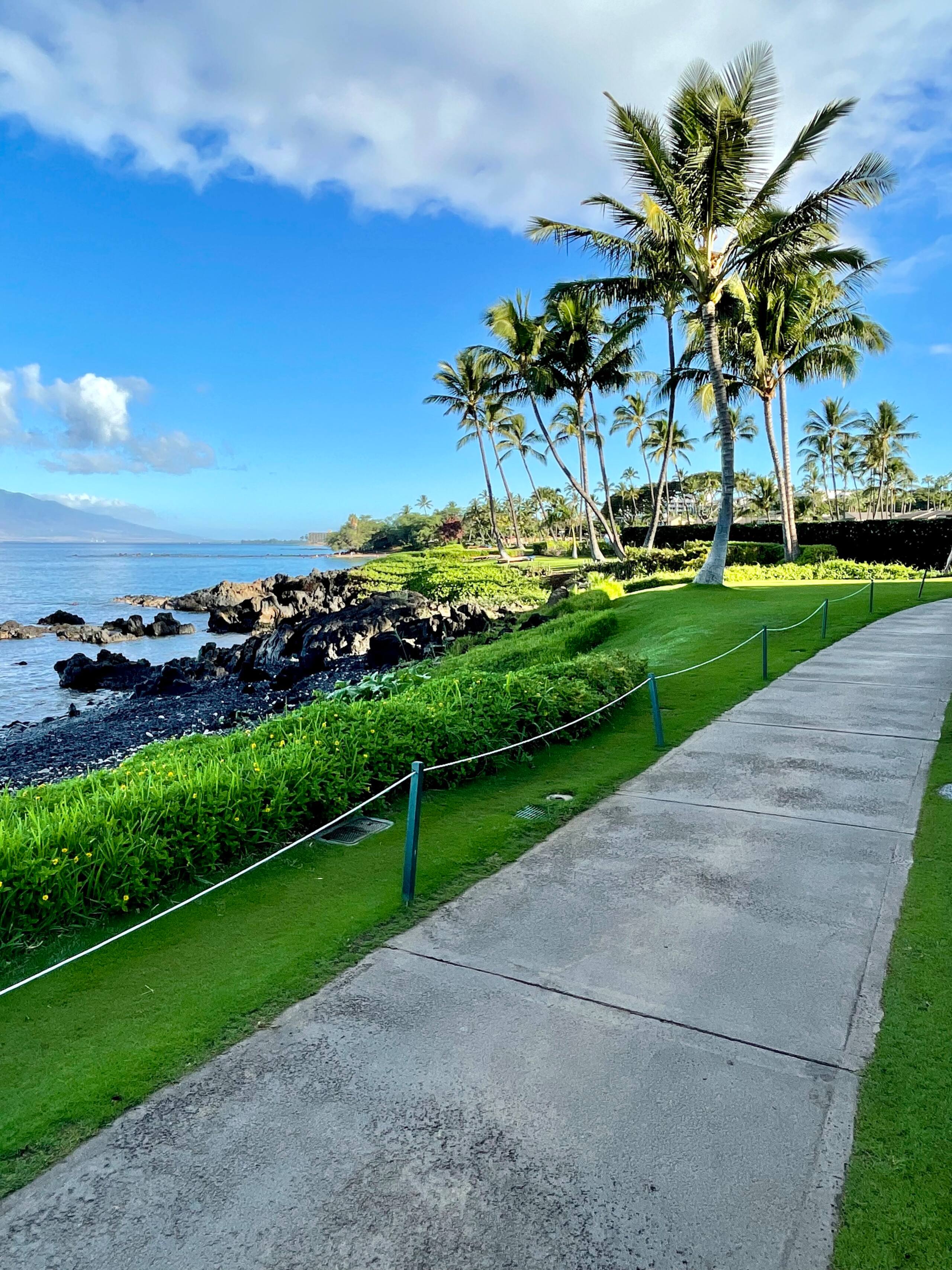 Condo in Kihei · ★5.0 · 1 bedroom · 2 beds · 1 bath - Image 75