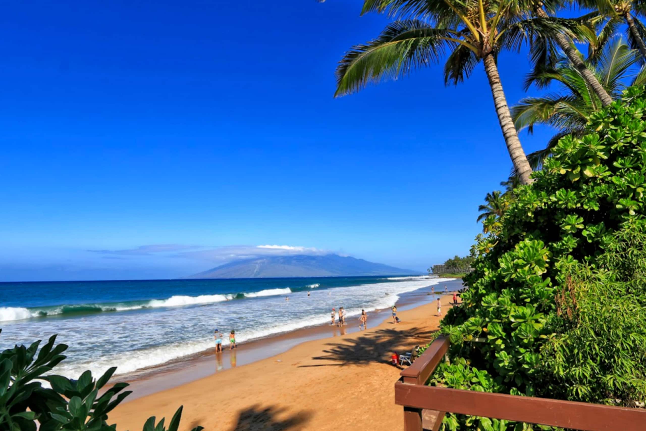 Condo in Kihei · ★5.0 · 1 bedroom · 2 beds · 1 bath - Image 69