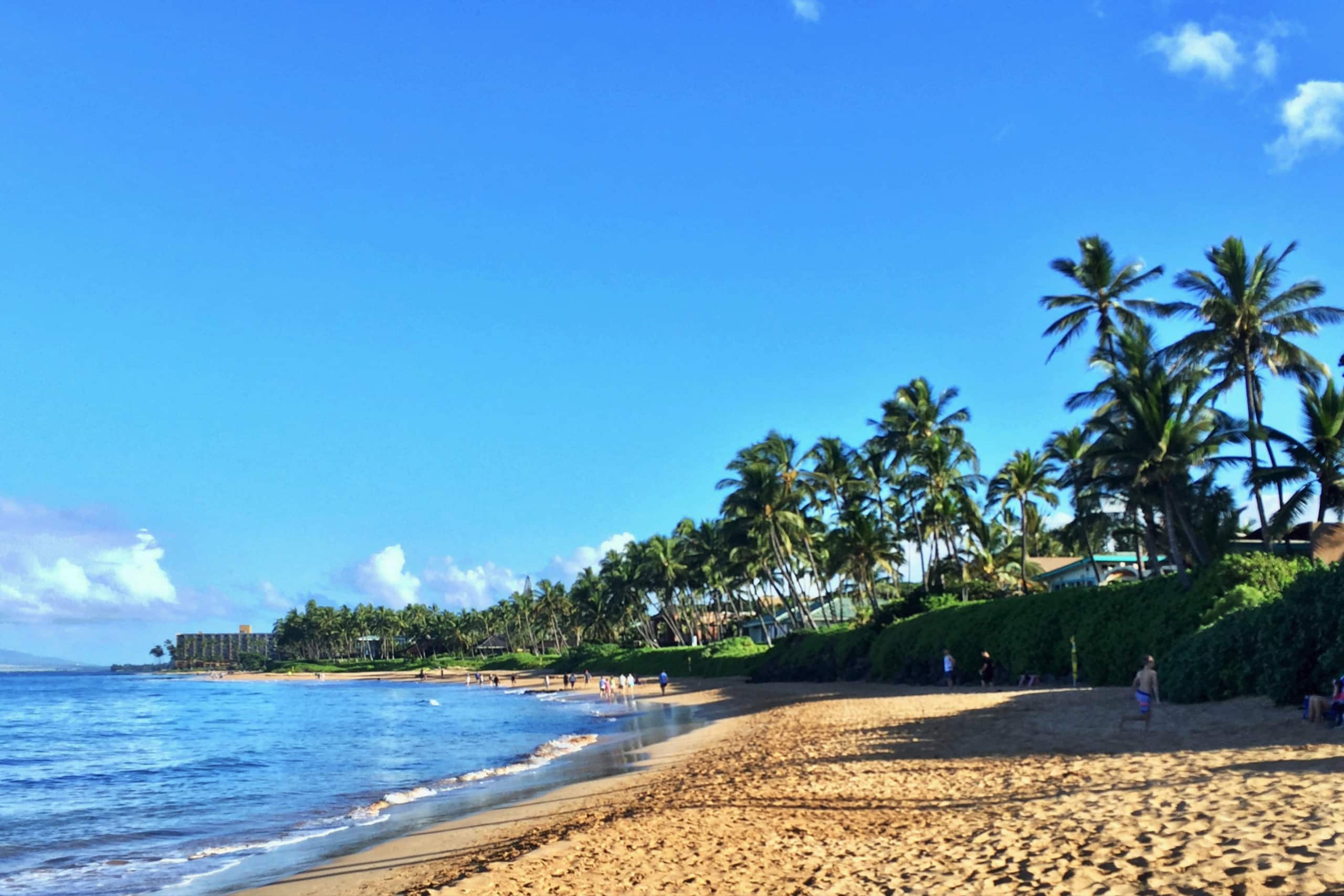 Condo in Kihei · ★5.0 · 1 bedroom · 2 beds · 1 bath - Image 72