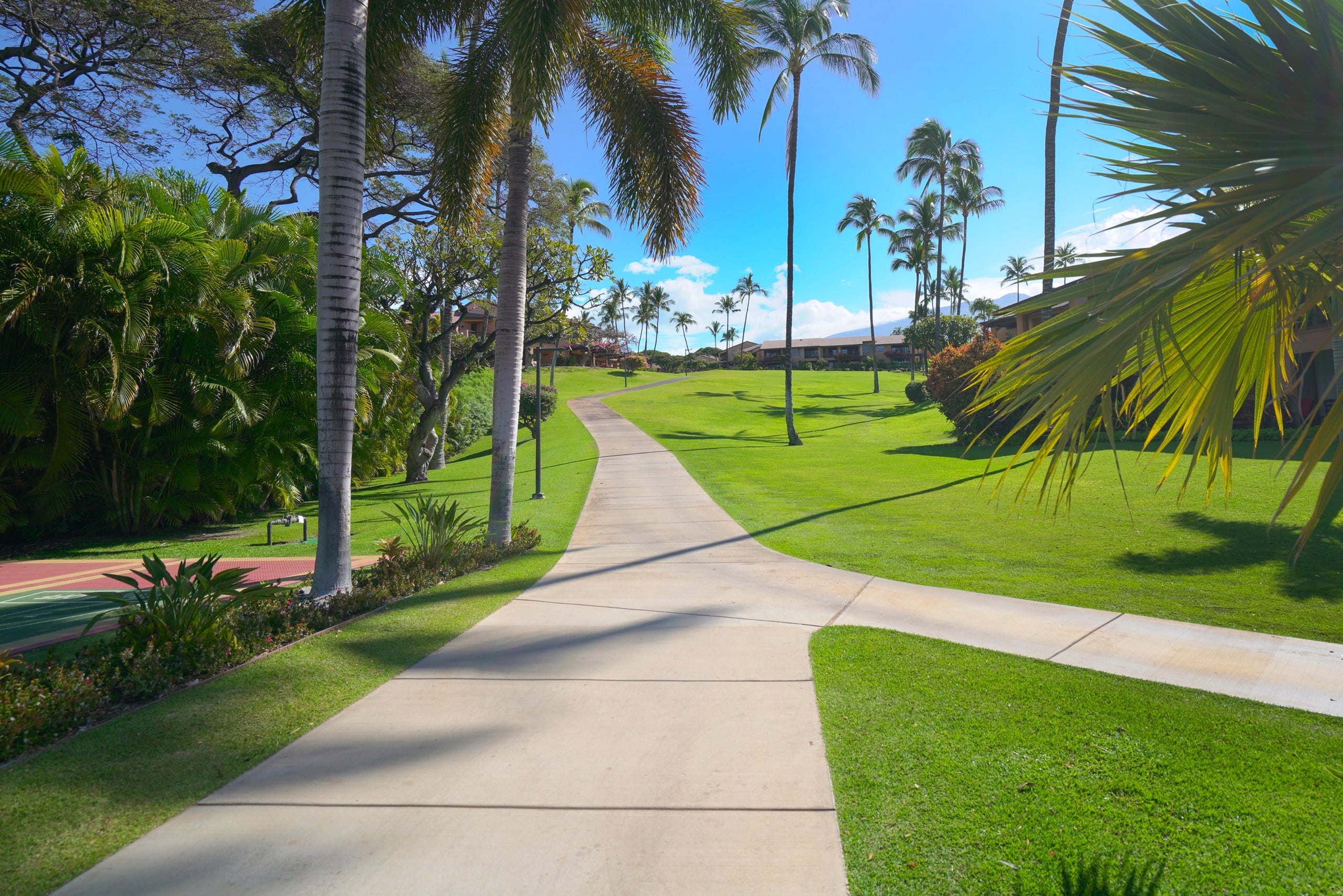 Condo in Kihei · ★5.0 · 1 bedroom · 2 beds · 1 bath - Image 74