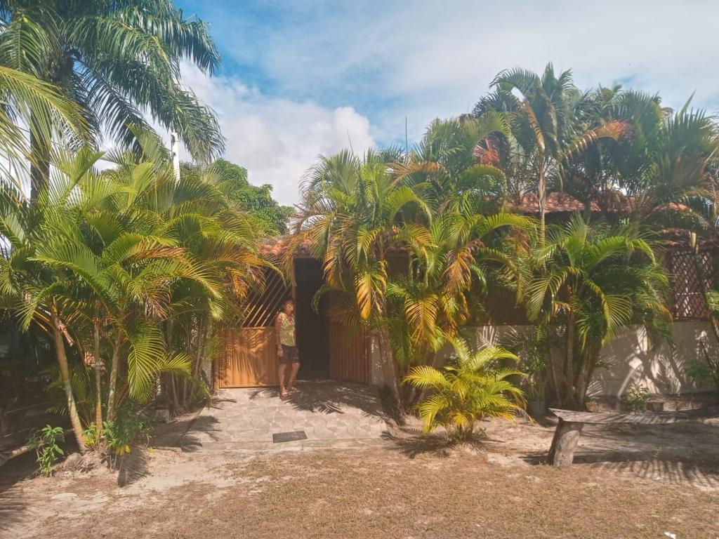 The entrance of a tropical house is framed by lush greenery, including tall palm trees and vibrant foliage. A wooden gate leads into the property, featuring a sandy pathway that invites guests into the serene, natural environment surrounding the home.