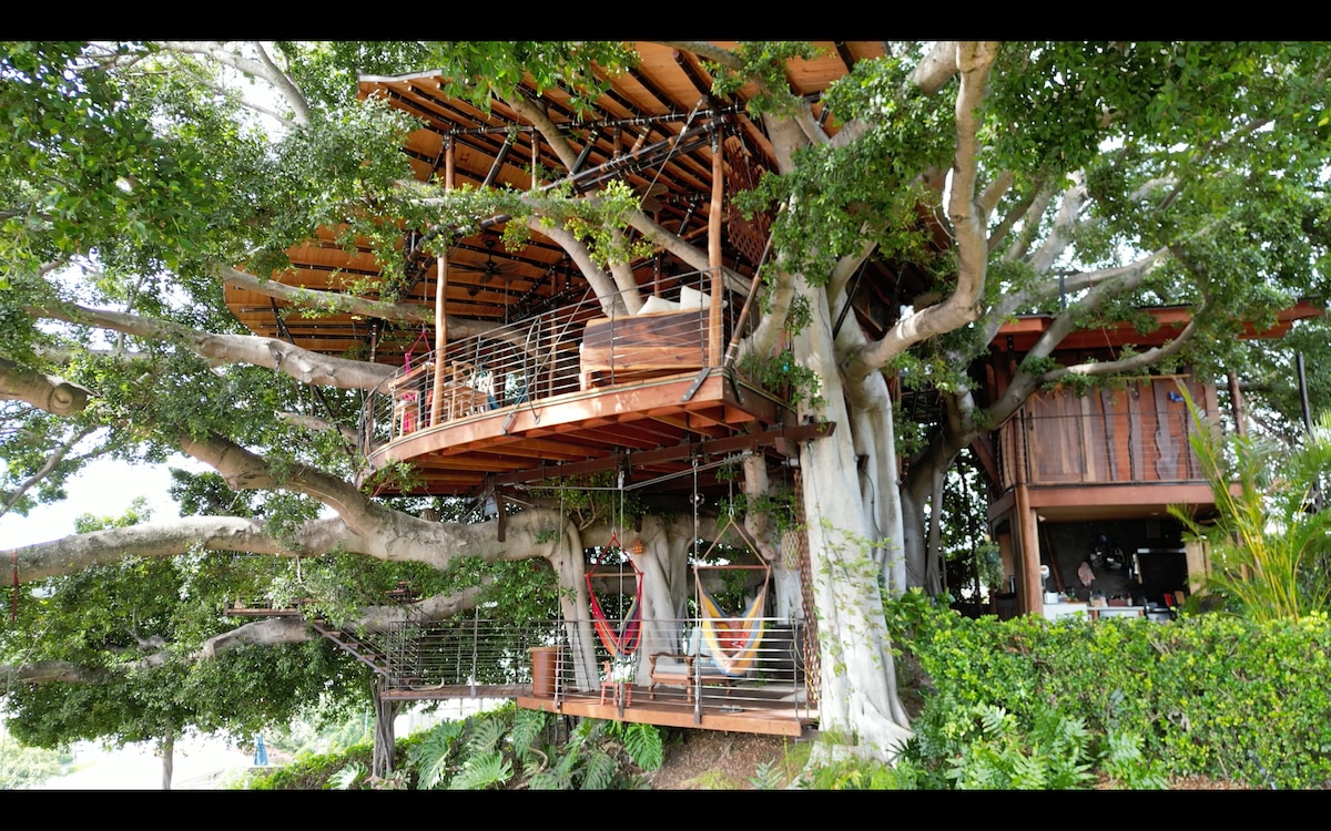 The treehouse is suspended among large, leafy branches, showcasing a spacious deck with wooden flooring and railings. Hammocks are gently hung, inviting relaxation. The structural design incorporates natural elements of the banyan tree, blending seamlessly with the surrounding greenery.